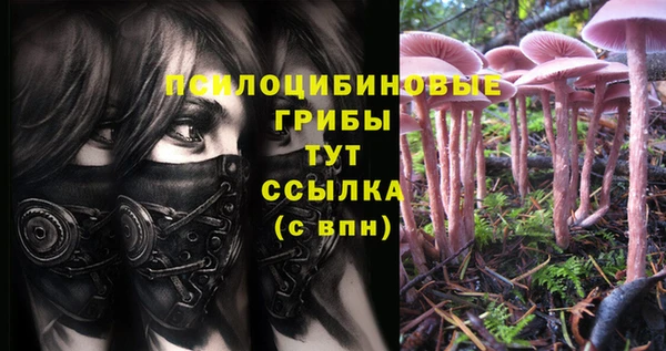герыч Дмитровск