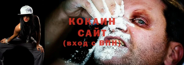 твердый Дмитриев