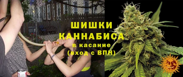 СК Гусь-Хрустальный