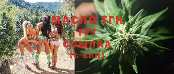 твердый Дмитриев