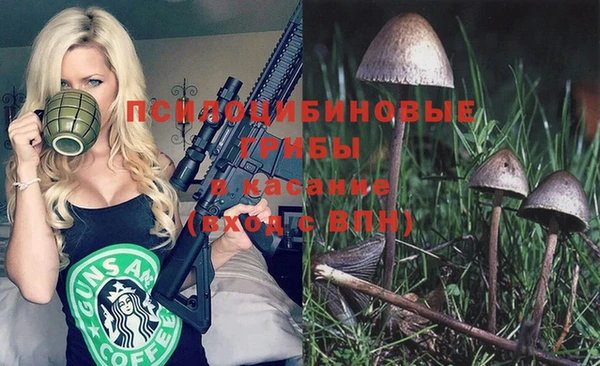 герыч Дмитровск