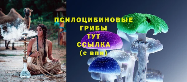твердый Дмитриев