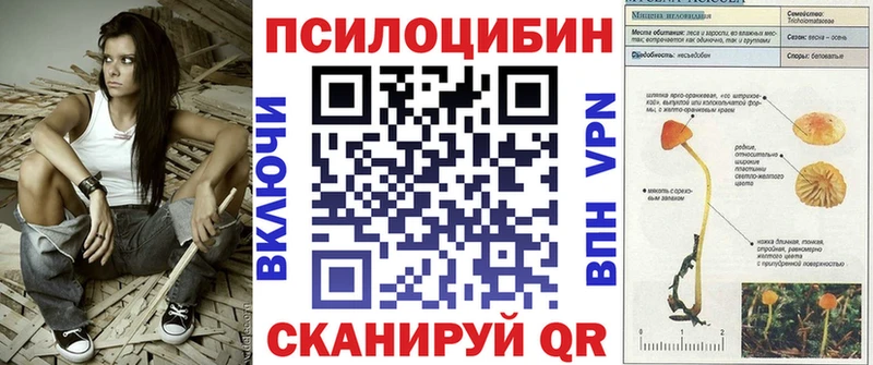 Галлюциногенные грибы мицелий  Купить закладки  Реутов 